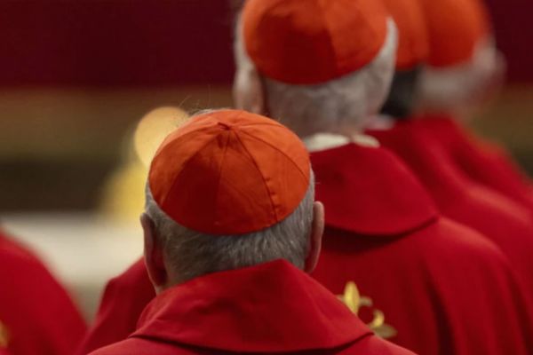 Cardenales de la Iglesia Católica en el Vaticano. | Crédito: Daniel Ibáñez / EWTN News.