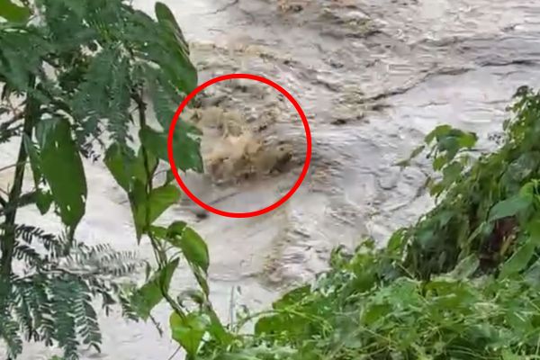 Presuntamente el vehículo se encuentra sumergido en ese sitio.