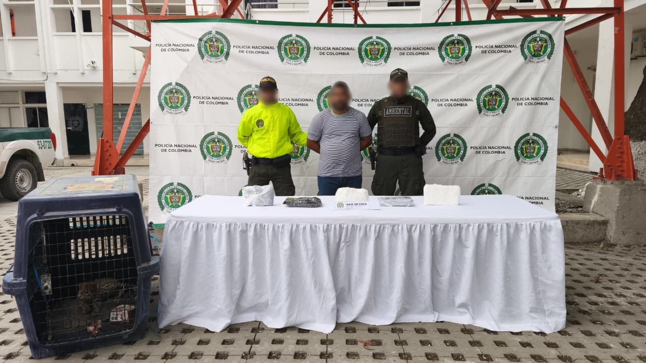 Foto cortesía Policía Nacional de Colombia. 