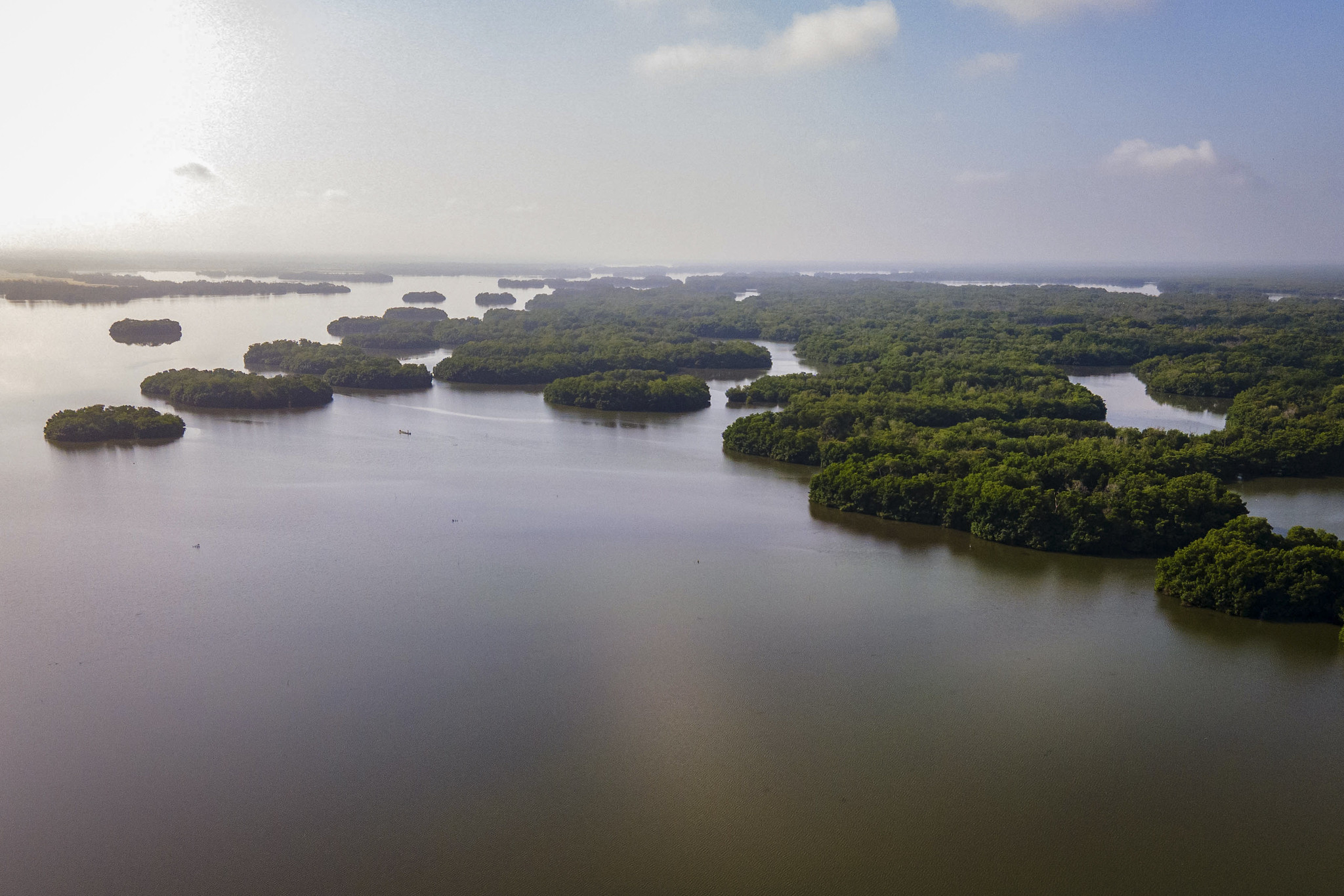 Ciénaga Grande de Santa Marta / Foto MinAmbiente