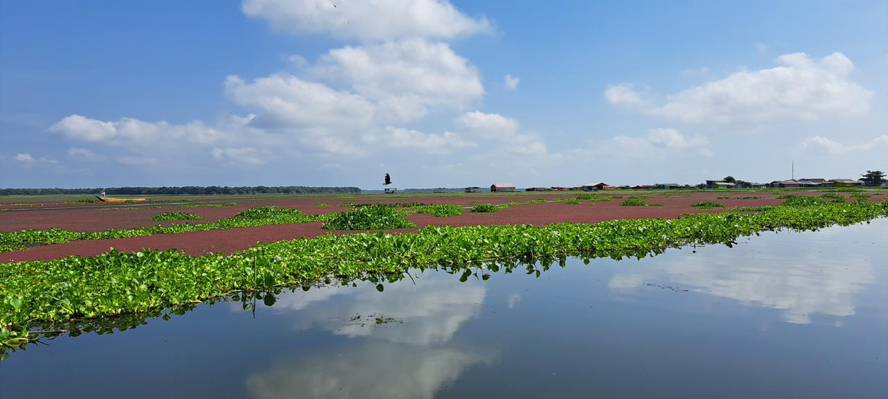 Foto MinAmbiente.