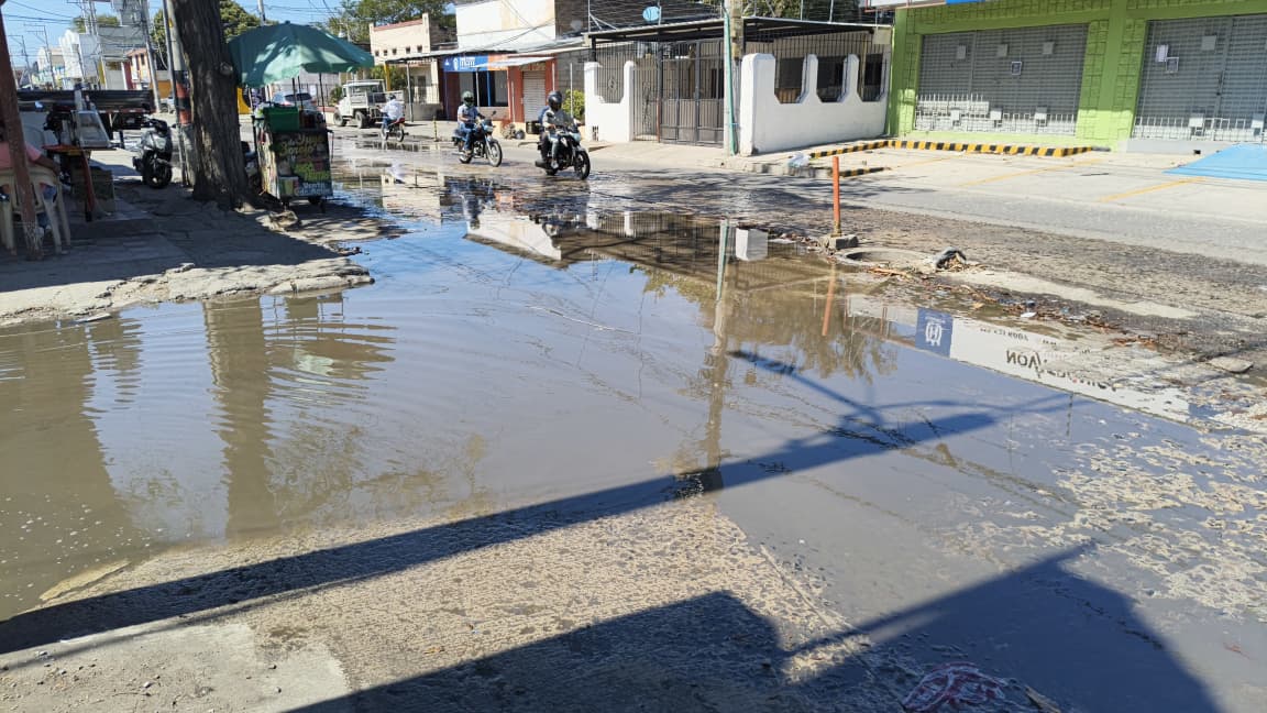 Sector Mercado Público. Foto derechos reservados EL INFORMADOR.
