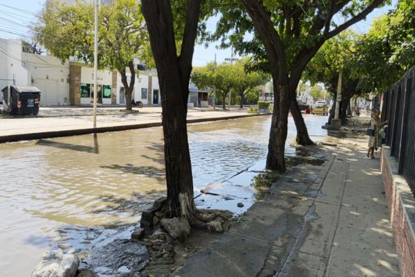 Foto derechos reservados EL INFORMADOR.