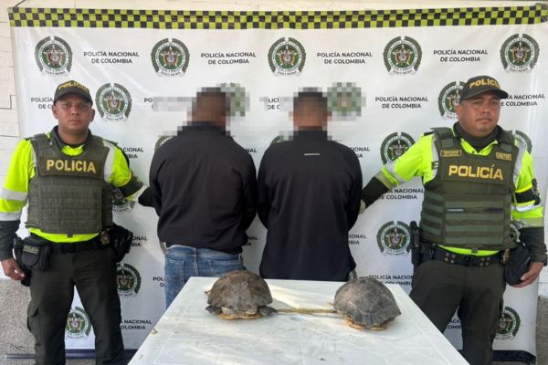 Foto Policía Nacional de Colombia.