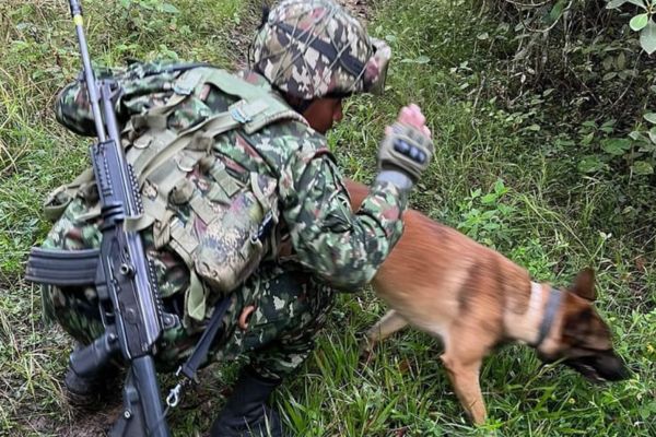 Foto Ejército de Colombia. 
