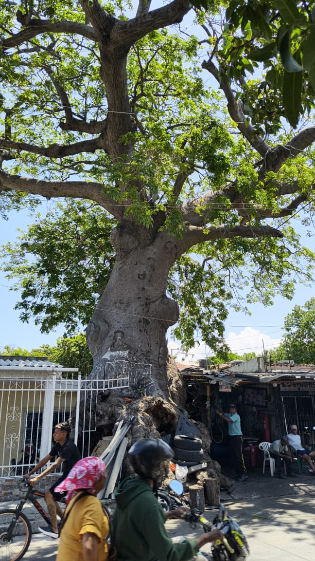 Foto derechos reservados EL INFORMADOR.