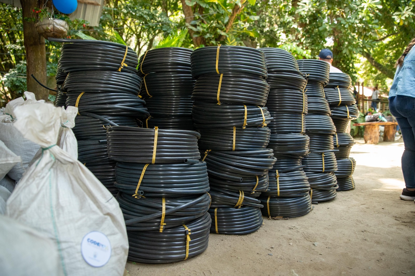 Foto cortesía Alcaldía de Santa Marta.