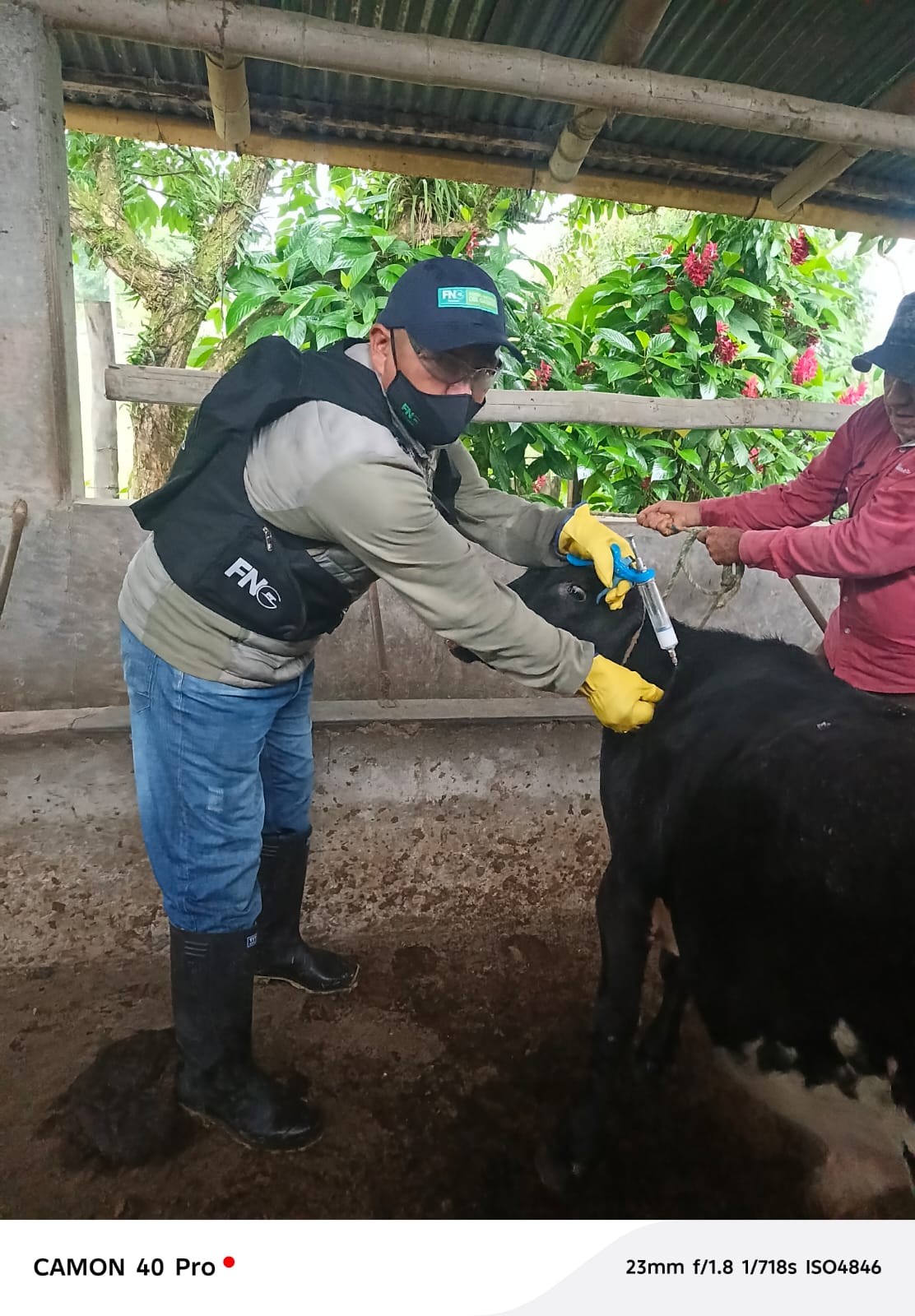 Foto cortesía Fedegán.