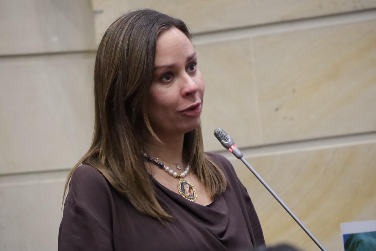 Foto cortesía Senado de Colombia.