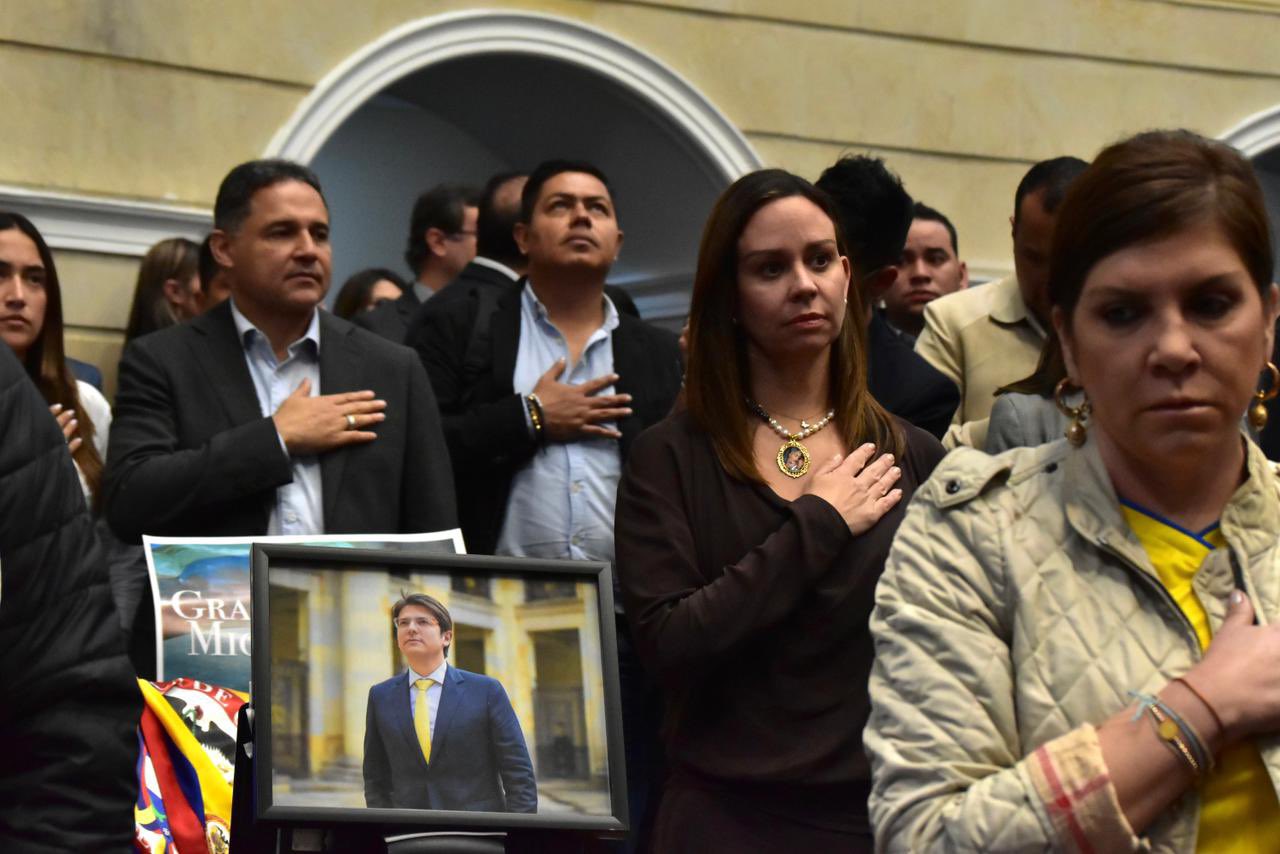 Foto cortesía Senado de Colombia.