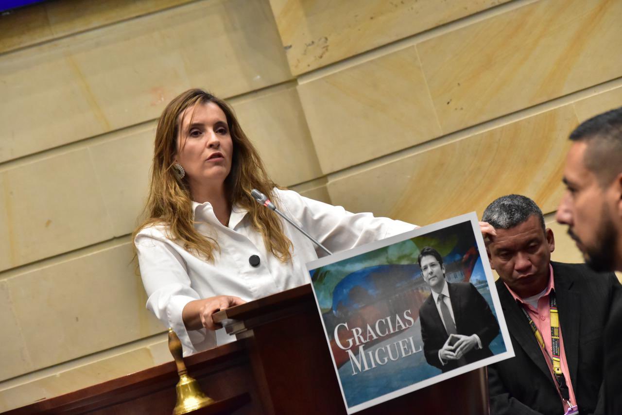 Foto cortesía Senado de Colombia.