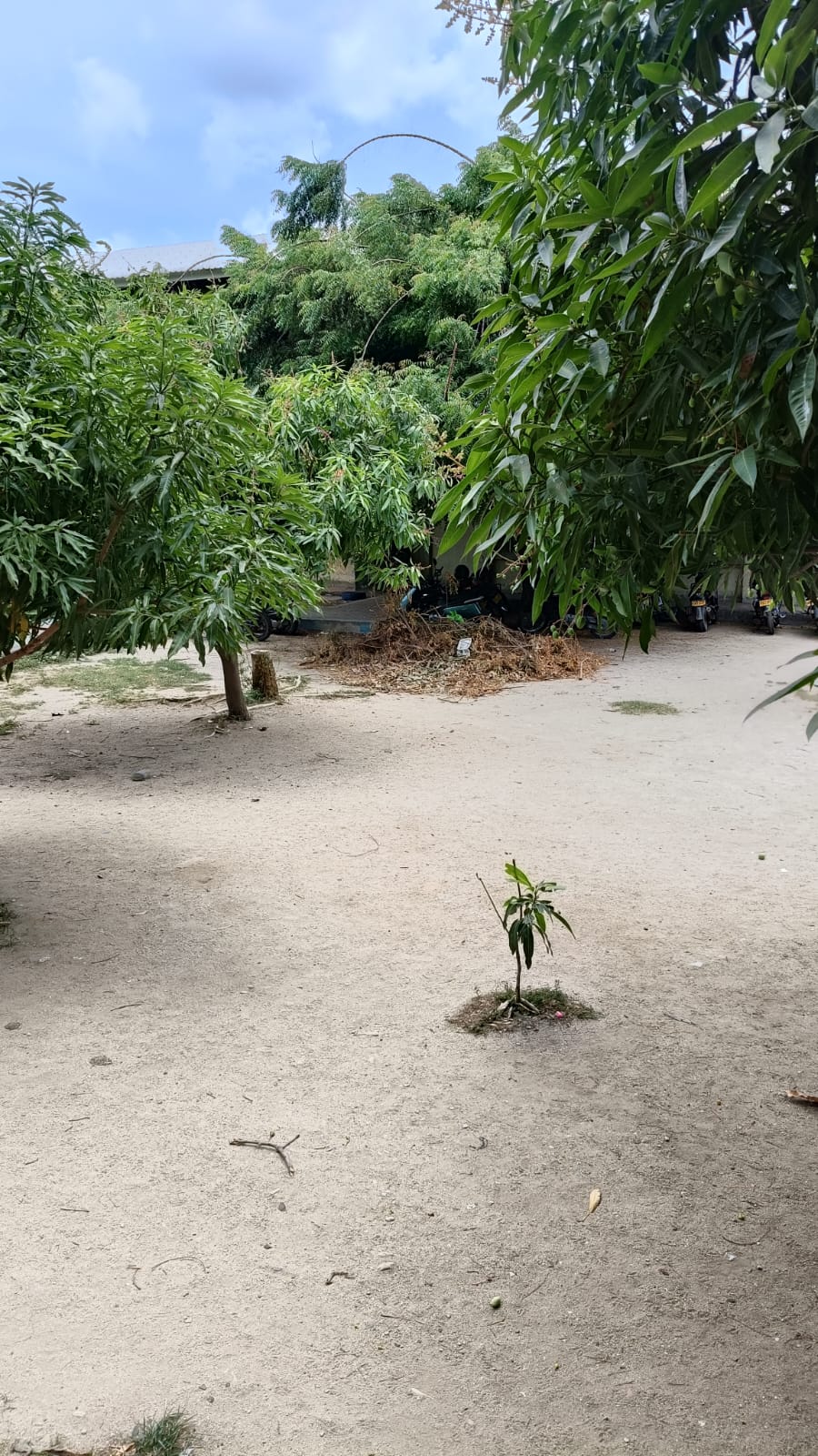 Foto cortesía.