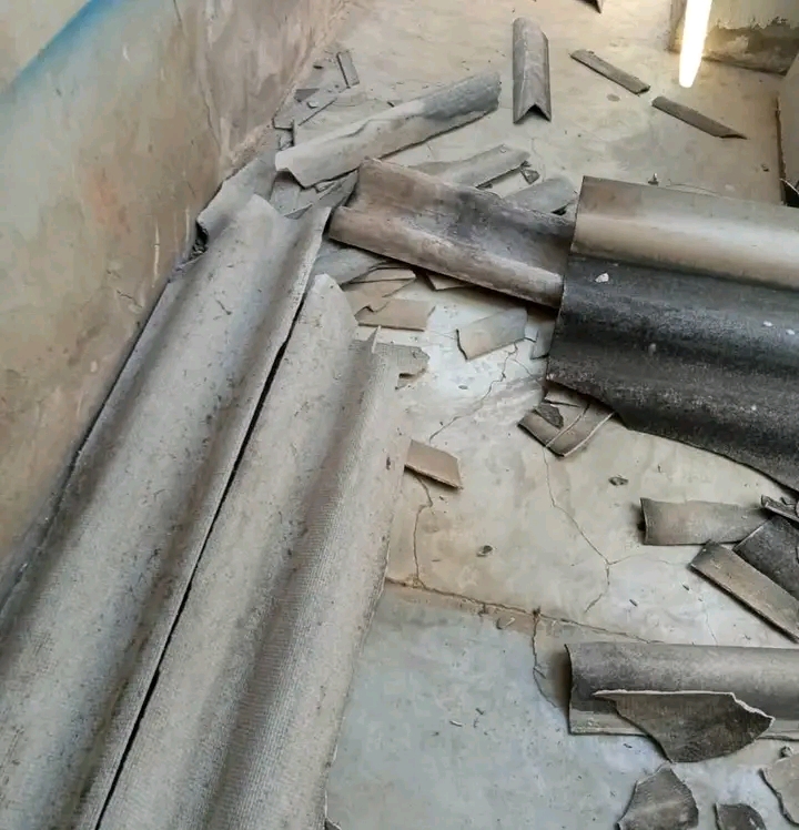 Foto cortesía.
