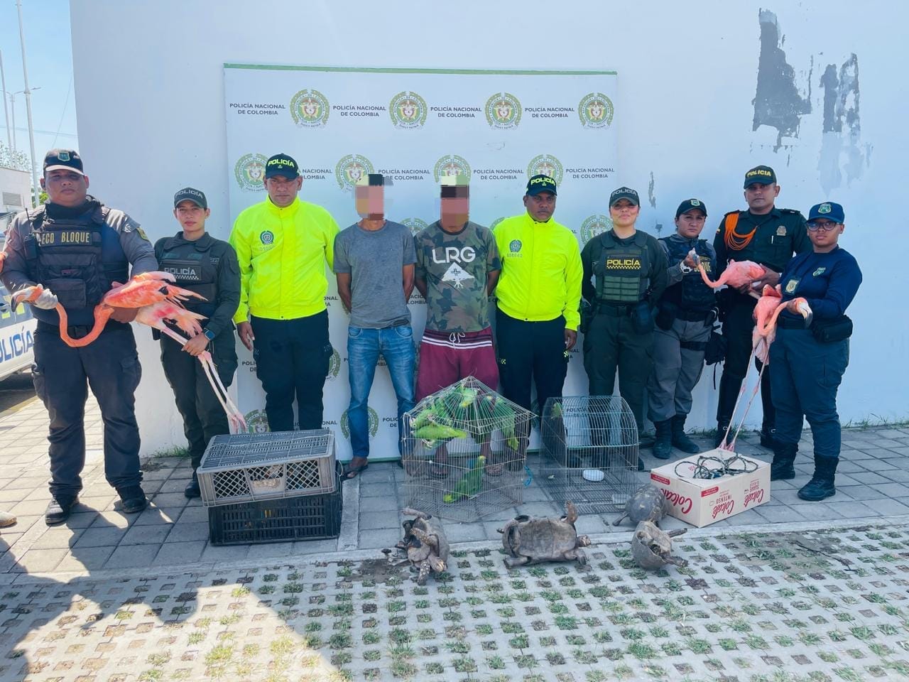 Foto Policía Nacional de Colombia.