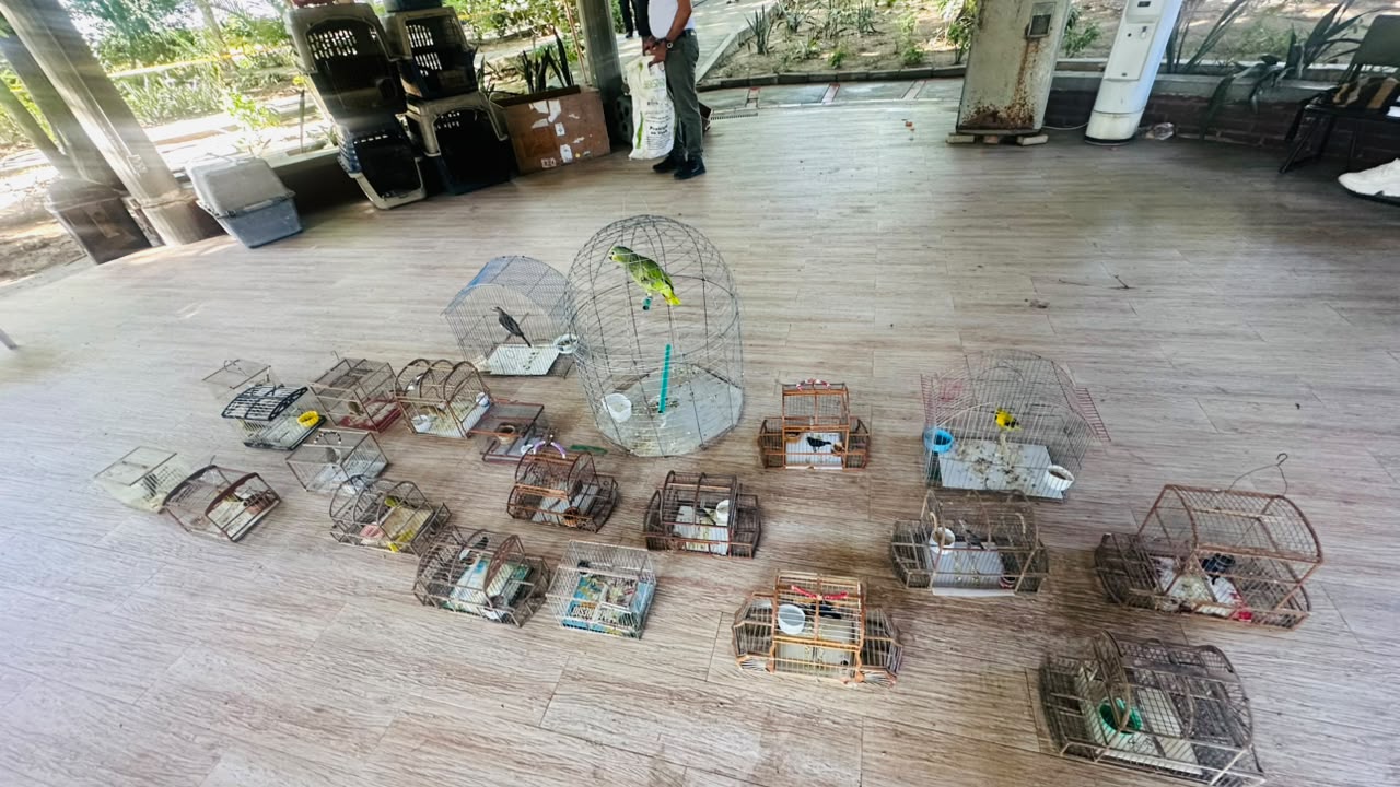 Foto Policía Nacional de Colombia.