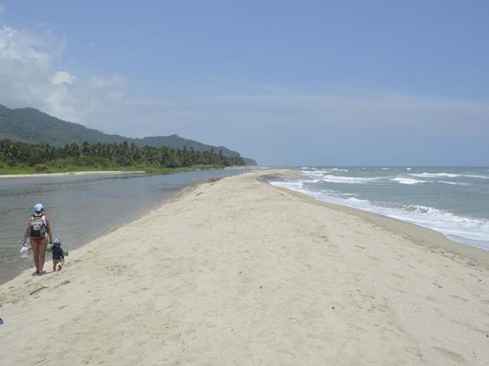 Río Palomino