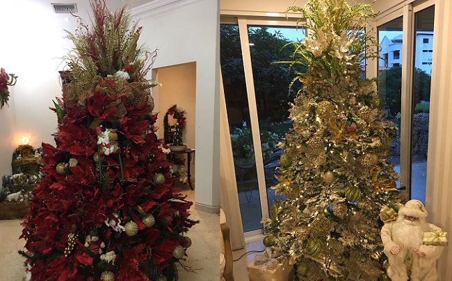 El rojo y el verde son los colores tradicionales de la navidad. Pero si quieres una decoración sofisticada, los colores dorado y plata son los ideales. 
