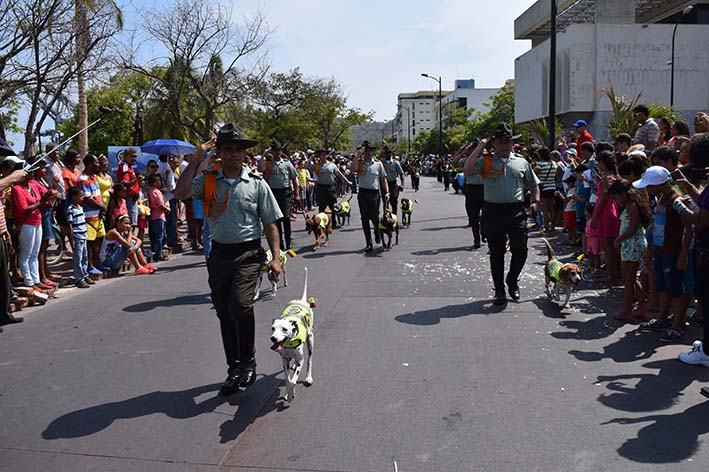 Los Guías Caninos desfilaron al lado de los canes, lo que significó uno de los mayores atractivos durante el recorrido. Los Guías Caninos desfilaron al lado de los canes, lo que significó uno de los mayores atractivos durante el recorrido.
