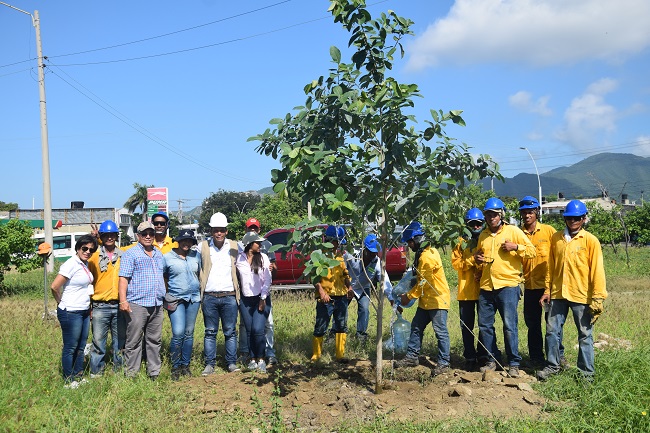 Los ingenieros agrónomos Angélica Yance, Pedro Mercado y Alberto Mendoza Caraballo, de la Universidad el Magdalena, fueron los encargados de supervisar el proceso de plantación de la especie nativa Pivijay. Fotos: Edgar Fuentes.