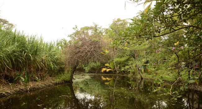 El rio Buritaca será el escenario para ‘Un Canto al Agua 2019’.