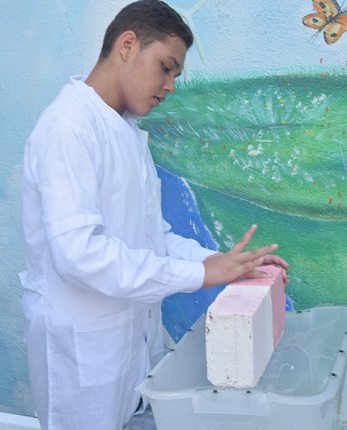 Momentos en que se hacía una demostración del proyecto ‘Pintura que repele el agua y la suciedad como la flor de loto’. 