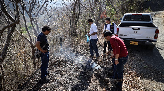 Los incendios consumieron alrededor de 1.100 hectáreas  de bosque seco tropical en la Sierra Nevada de Santa Marta.