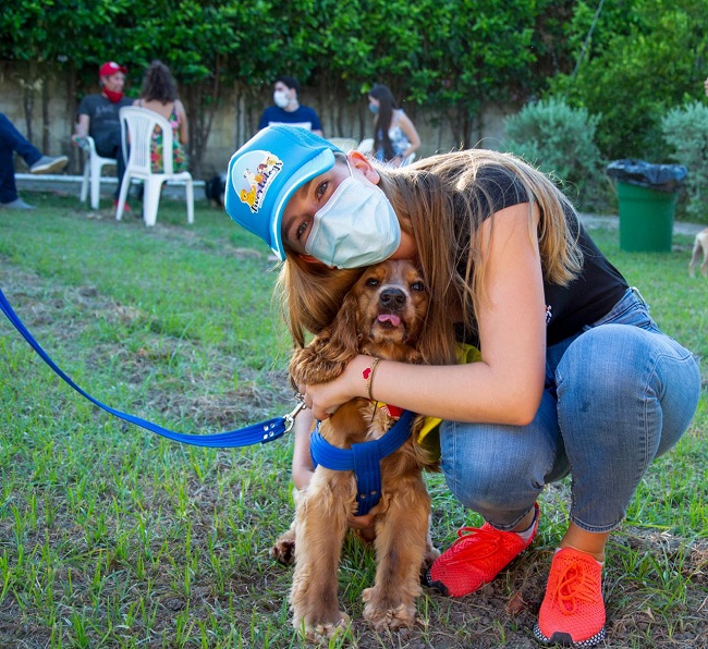 Amantes de los perros, en Divertidogs les dan un trato como si estuvieran en su propia casa.