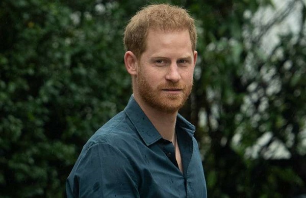 El hijo de la desaparecida Diana de Gales ha aclarado que prefiere mil veces ver esa serie que leer las historias que se publican sobre su esposa o sobre él