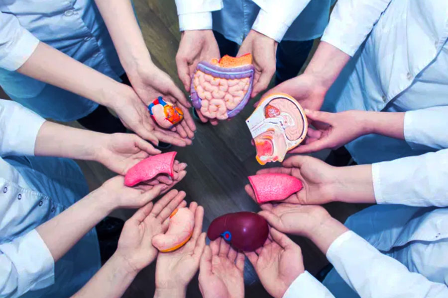 Ser donante de órganos no es correr un riesgo, sino más bien convertirse en una salvación para otros.