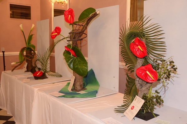 La Corporación Club de Jardinería de Santa Marta exhibió distintos tipos de plantas con diseños y técnicas como la horticultura.