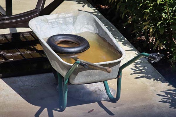 Limpiar las canaletas, bebederos de animales o lugares donde se almacena agua para otros usos. Limpiar las canaletas, bebederos de animales o lugares donde se almacena agua para otros usos.