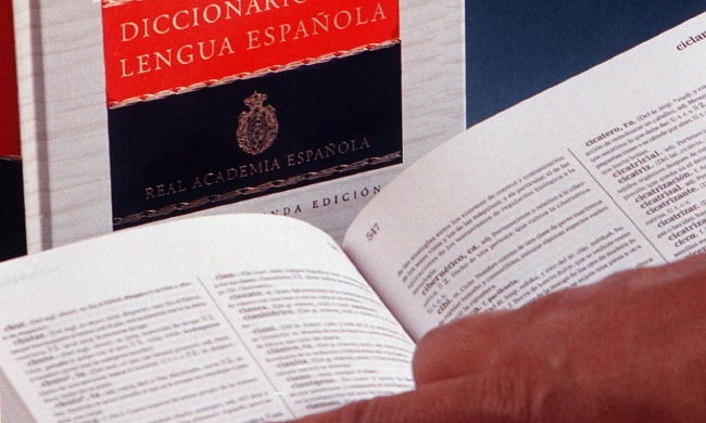 Foto referencia