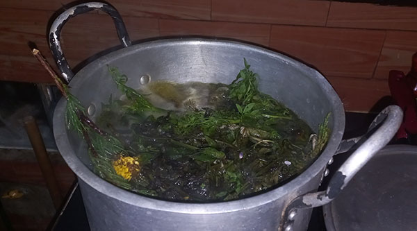 La preparación de los baños es sencilla. Las plantas deben echarse en una olla con agua hirviendo. La preparación de los baños es sencilla. Las plantas deben echarse en una olla con agua hirviendo.