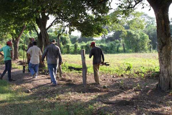Las víctimas del abigeato exigen prontas medidas de seguridad para sus territorios. Foto referencia Las víctimas del abigeato exigen prontas medidas de seguridad para sus territorios. Foto referencia