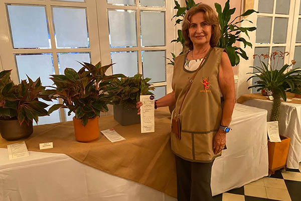 Anglaonema:  Yolanda Bustillo *Nora Arroyave *Rosalía Solano *Marina Anzola
