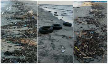 Llantas, ropa, electrodomésticos dañados, animales muertos, residuos de alimentos, plásticos, entre otros elementos, son la carta de presentación que ofrece hoy la playa Los Cocos.