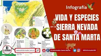 En la Sierra Nevada de Santa Marta habitan 103 especies de reptiles, entre lagartijas, serpientes, tortugas y cocodrilianos. De estos, 15 especies son endémicas. 