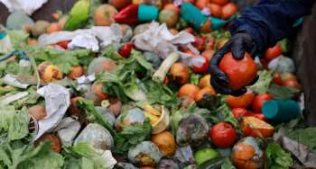 El 16 % de los alimentos desperdiciados proviene de los hogares, y no se limita solo a lo que se sirve en el plato, sino también al vencimiento de alimentos sin consumir. 