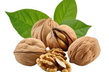 El pistacho es el fruto seco que menos calorías contiene y además tiene efecto saciante, por tanto, está indicado en dietas para bajar peso.