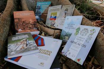 En la imagen se observa que el lecho del caño está agrietado y rodeado de vegetación marchita por la sequía. Foto: Referencia. 