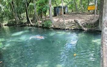 El Manantial de Cañaverales corresponde a un ecosistema de bosque seco tropical, cuya particularidad radica en la presencia de  un afloramiento de aguas subterráneas de las cuales  se abastecen para consumo humano